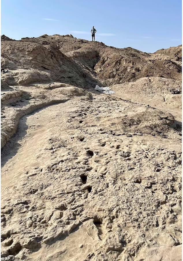 نقش تکامل در راه رفتن انسان روی دو پا
