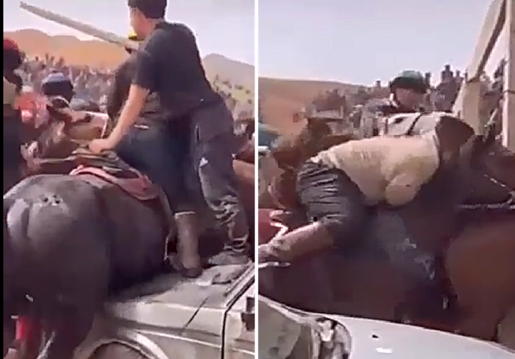 درگیری عجیب و ترسناک مغول‌ها در سال ۲۰۲۵