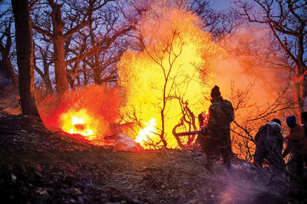اولین تصاویر از حجم خسارت آتشسوزی جنگلهای الیت مازندران