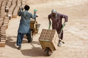 الزامات جدید جذب نیروی خارجی: اعلام شروط ۶گانه وزارت کار برای استخدام اتباع