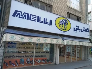 پرونده تازه دیوان محاسبات؛ واگذاری غیرقانونی ملک شرکت کفش ملی