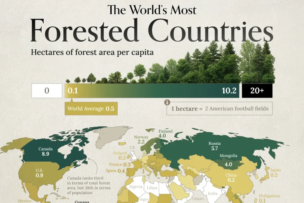 سهم کشورها از جنگلهای جهان و جایگاه ایران در رتبهبندی جهانی
