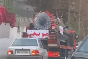 ویدیوی عجیب عذرخواهی با گل‌های دلاری در تهران