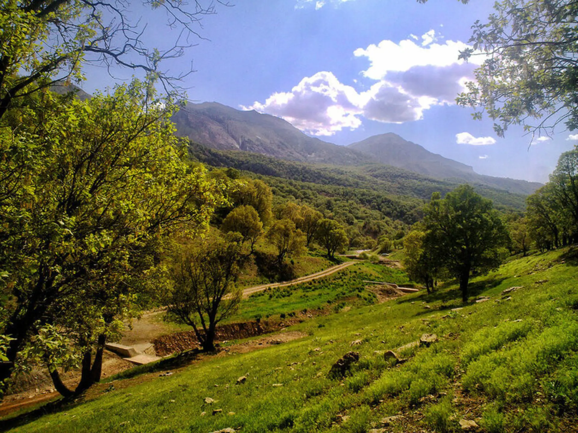 کوه کلنگ