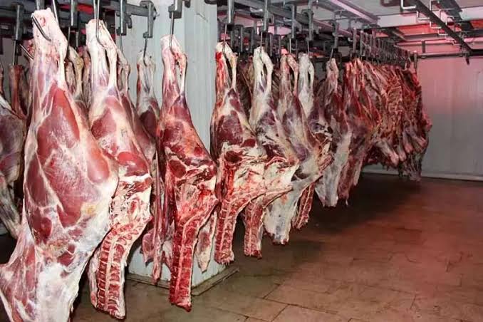 حمله خونین به کامیون‌های مشکوک به حمل گوشت گاو در هند؛ ده‌ها راننده جان باختند