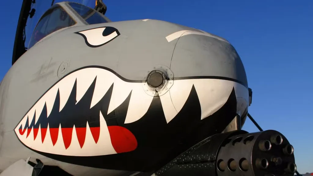راز طراحی A-10 Warthog؛ هواپیمایی که برای زنده ماندن زیر آتش دشمن ساخته شد